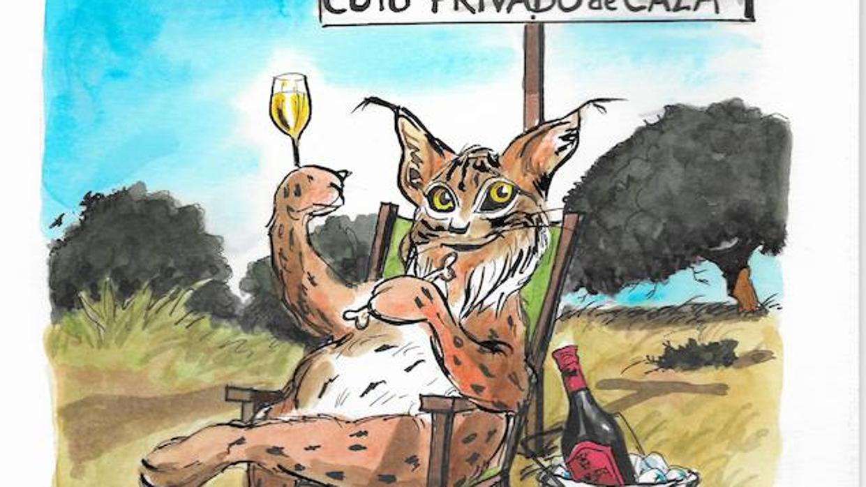 El lince desde la conservación privada