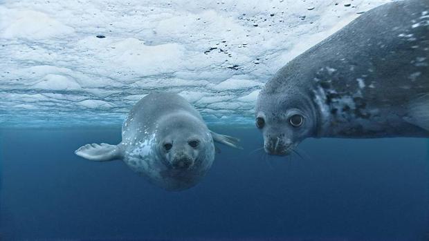 Hacia la sostenibilidad de los mares y los océanos