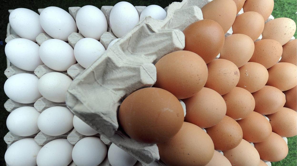 #HuevoChallenge: descubre el buen estado de tus huevos con un sencillo test