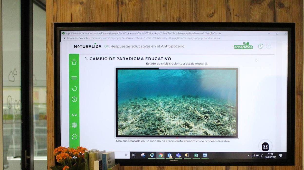 Naturaliza ofrece a los docentes formación on line y recursos educativos en educación ambiental
