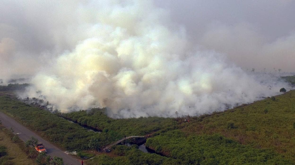 Los incendios que arrasan Indonesia: cinco claves que explican este desastre medioambiental