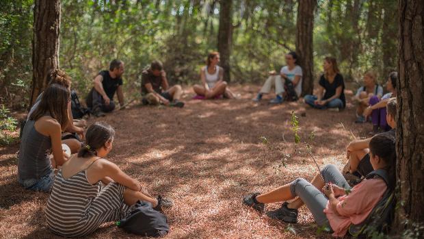 Los beneficios de «bañarse» entre los árboles