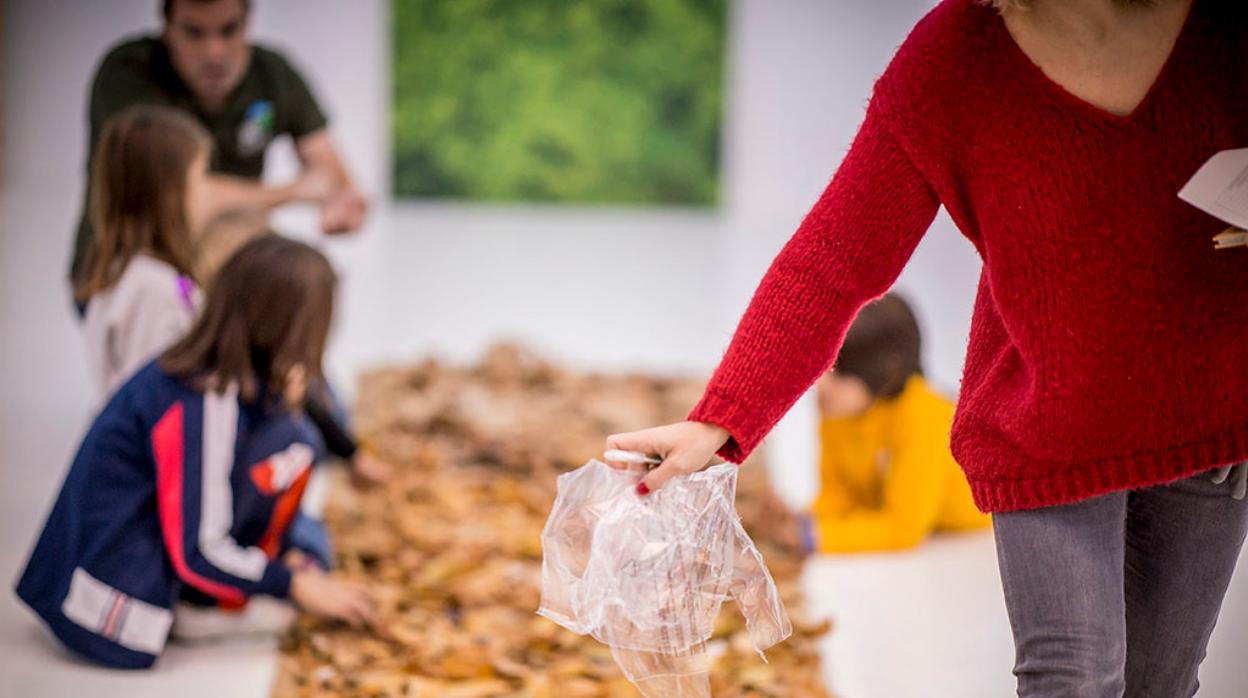 Más de 1.000 docentes forman parte de la comunidad Naturaliza