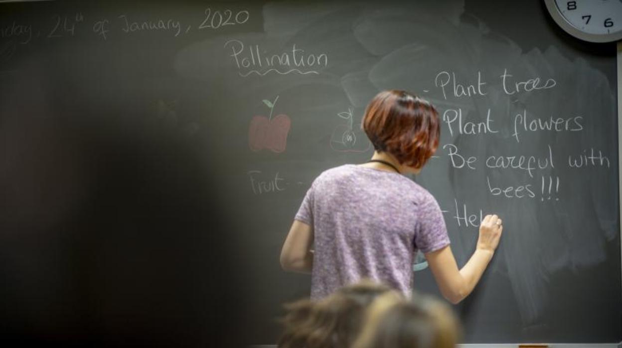 Más de mil docentes de toda España, comprometidos con la educación ambiental