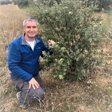 El experto José María Rey Benayas