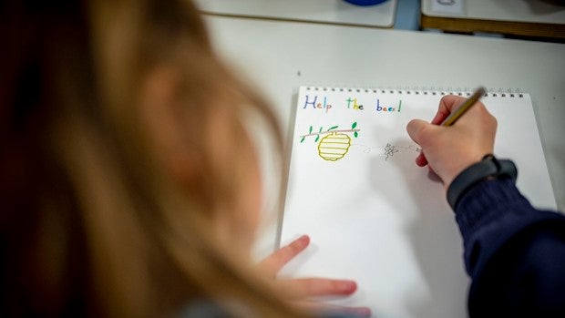 Decálogo para la Educación Ambiental