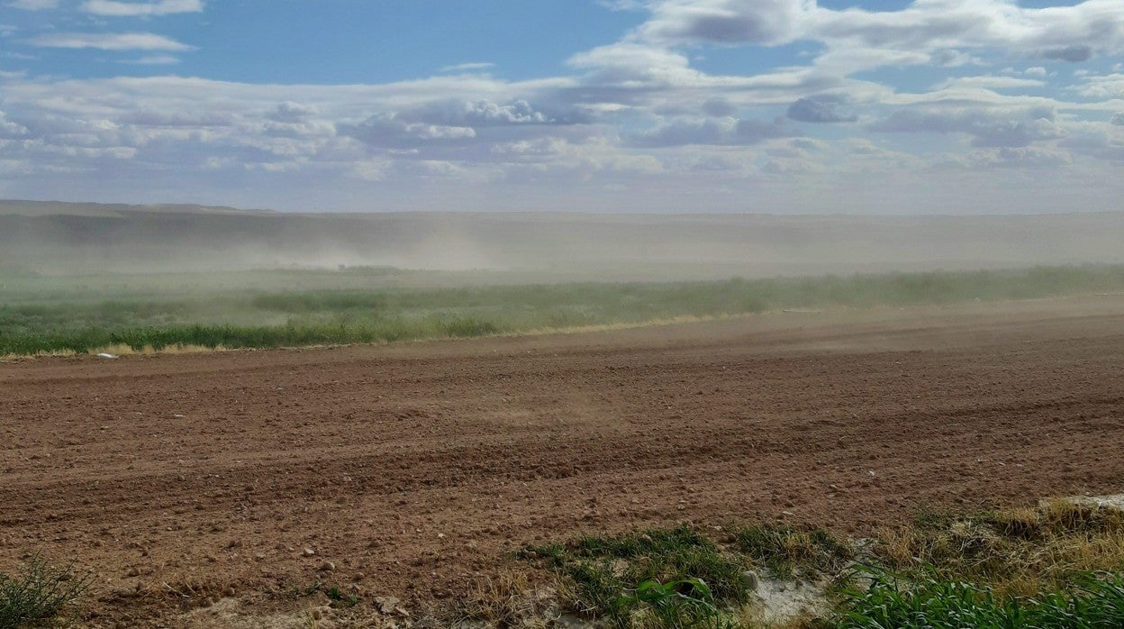 El cambio climático tiene graves consecuencias sobre la vegetación y el suelo