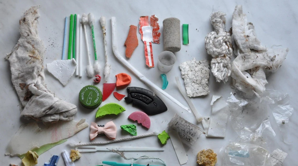 Imagen de los plásticos recolectados en una playa del lago de Neuchâtel