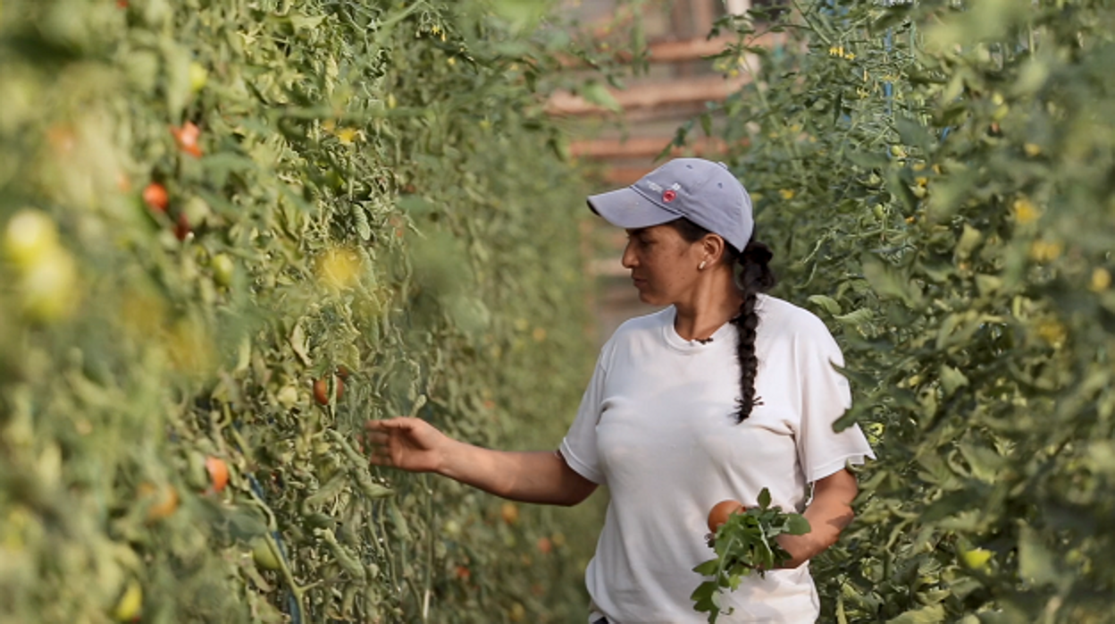 Angelica Valbuena, emprendedora que atiende la FMBBVA en