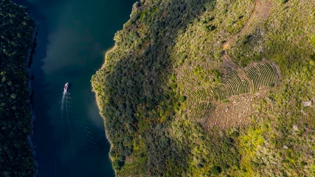 España, referencia mundial en protección natural