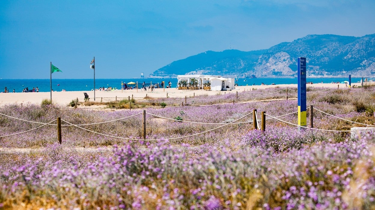 Dunas de Castelldefels