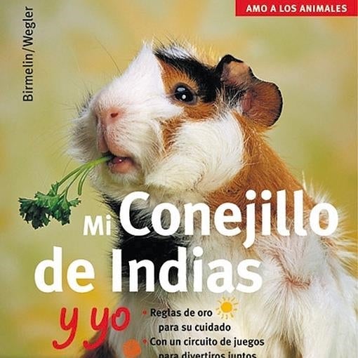 Conejillo de indias o cobayas