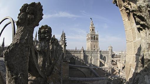 Cubiertas de la Catedral