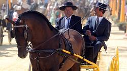 Feria de Jerez