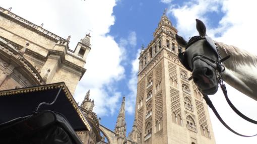 Coche de caballos a los pies de la Giralda