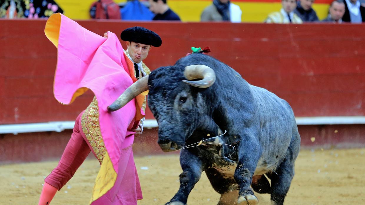 Román, con el tercero de la tarde