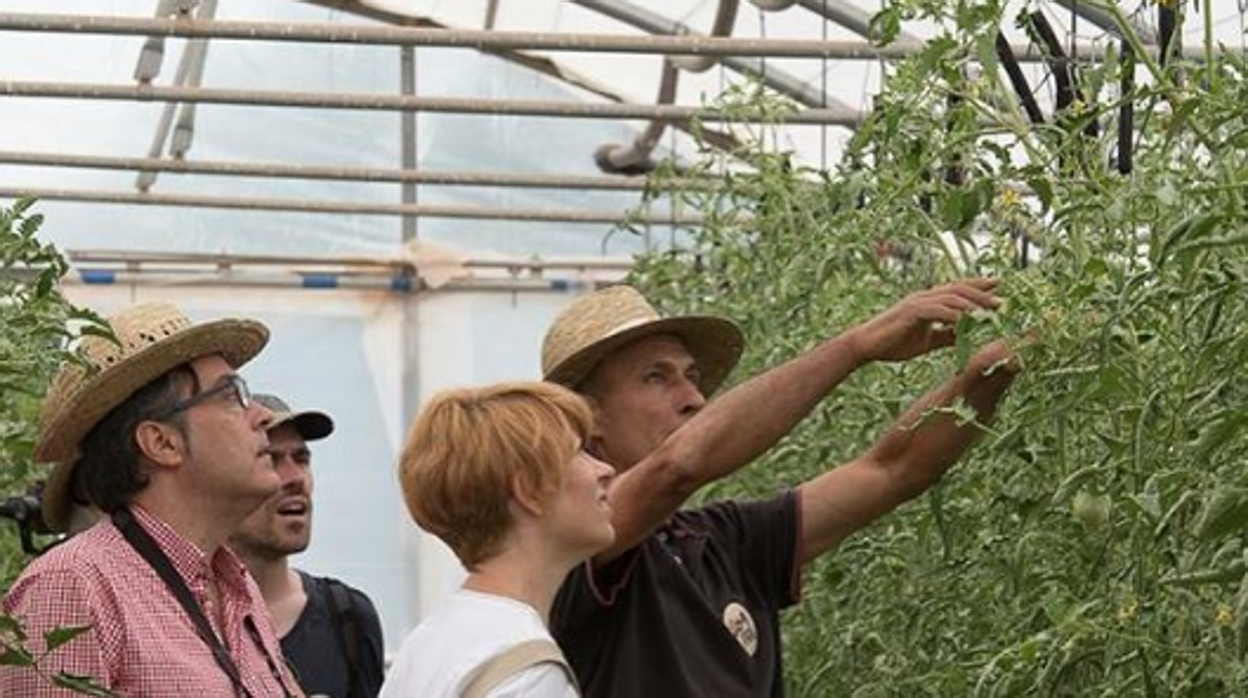 «Benvinguts a pagès» es una buena oportunidad para conocer de cerca las técnicas de cultivo