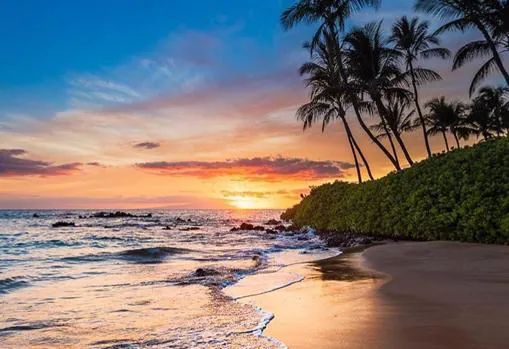 Descripción del negocio O cualquiera visual Viajar a Hawái: qué ver, qué visitar y qué debes saber