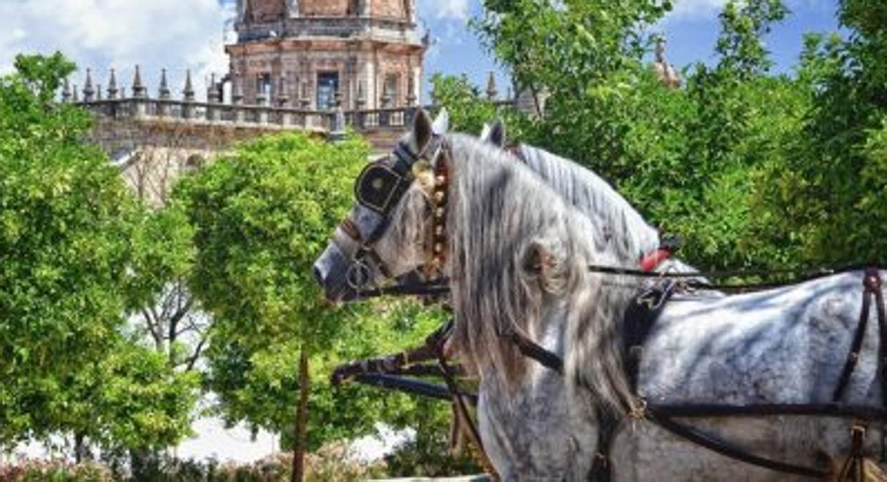 Ruta por la España ‘low cost’: Jerez, entre los destinos más baratos para viajar en otoño