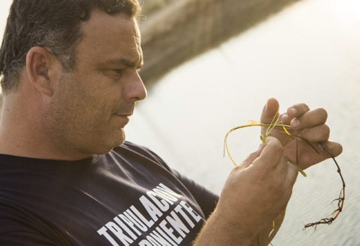 El chef Ángel León contempla las semillas de zostera marina 