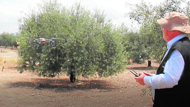 Monturque utiliza una técnica pionera de drones con  infrarrojos para la localización de fosas comunes