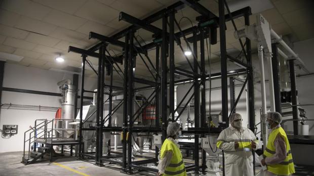 Córdoba, la gran fábrica de Mahou para cervezas artesanales