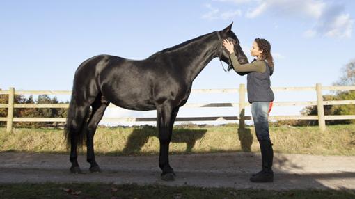 La protagonista y el caballo de A Rienda Suelta