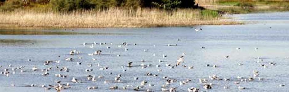 Laguna de El Portil, en Huelva