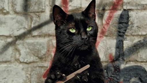 Salem , el gato de Sabrina