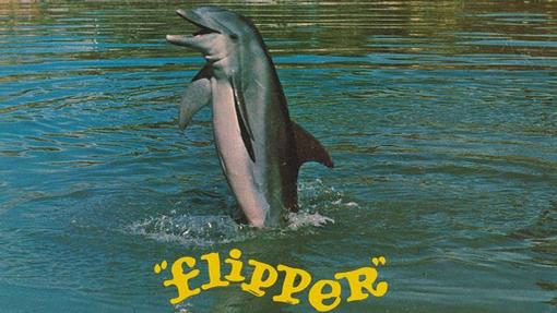 Uno de los delfines hembras que interpretaban a Flipper