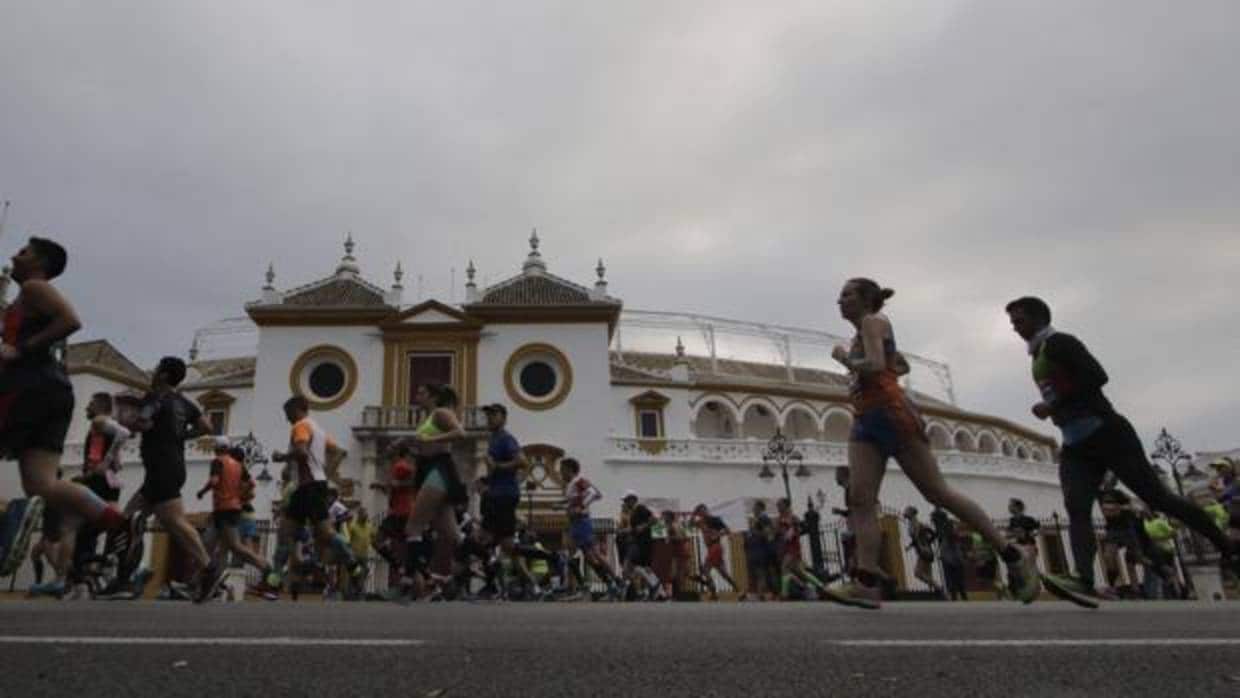 Maratón de Sevilla por el Paseo de Colón