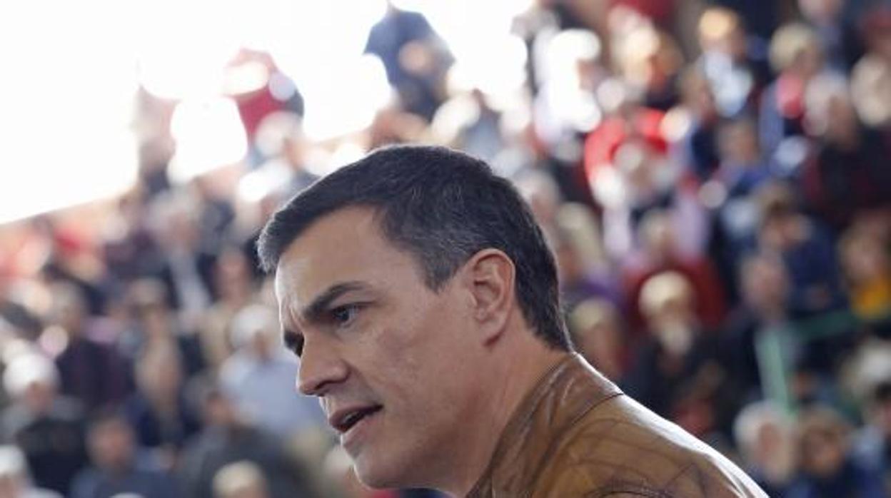 Pedro Sánchez, presidente del Gobierno