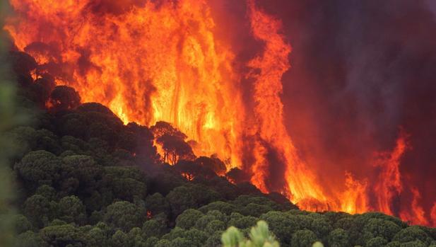 Imagen del incendio en el término municipal de Nerva