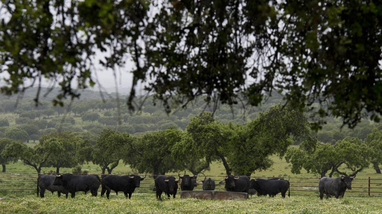 La posibilidad del infinito