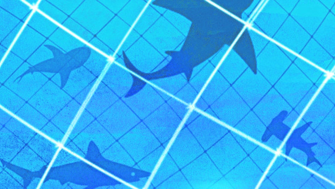 Mari Pau Domínguez: Redes sociales, hay vida más allá