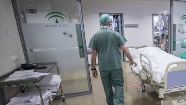 Un duro trabajo para el nuevo SAS