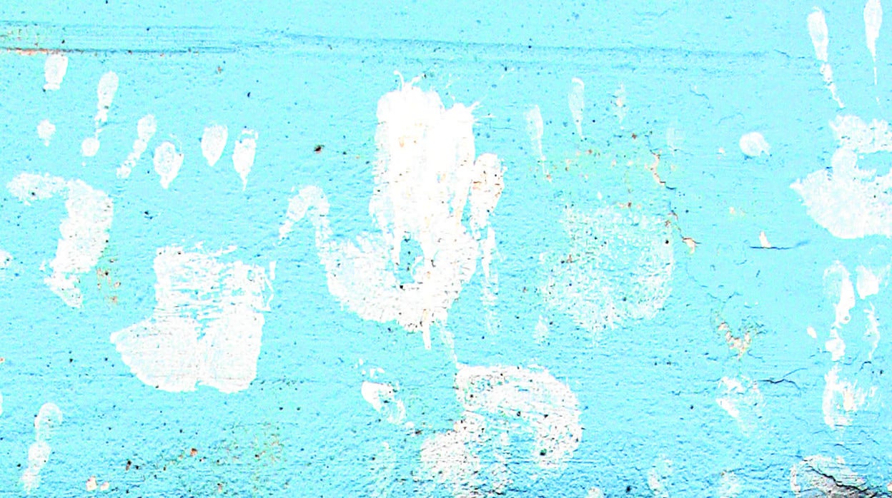 Soledad Becerril: Vidas rotas