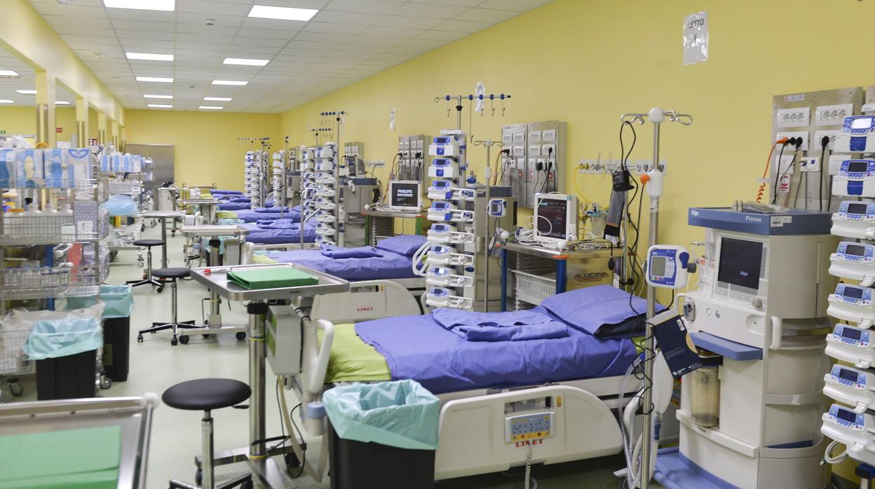 Giuseppe Tringali: Gracias