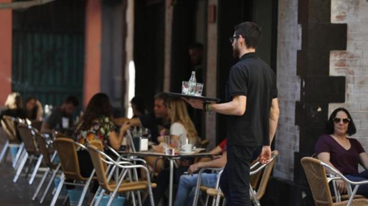 La Voz de Cádiz: De camarero a jornalero en el campo