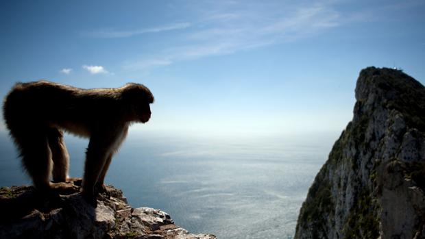 Gibraltar: cesión y renuncia