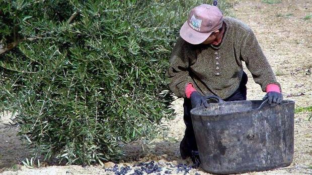 Acatar sin rechistar: ¿hasta cuándo?