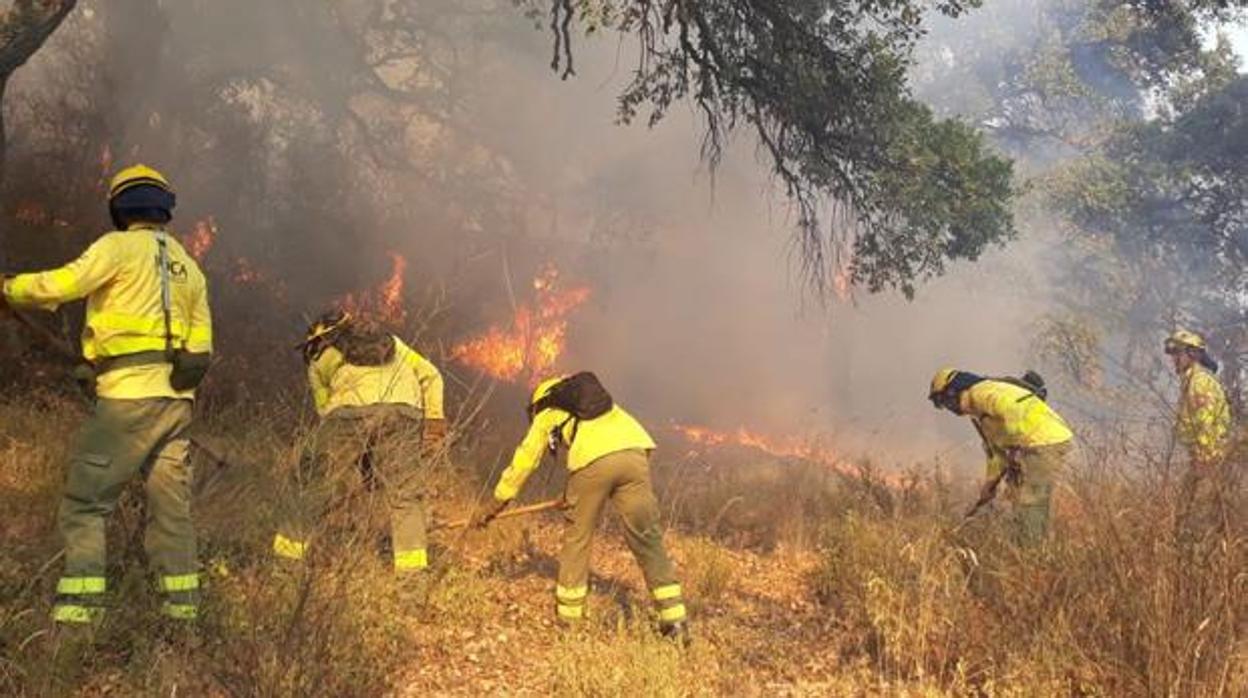 La Voz de Cádiz: La peligrosa confianza con el fuego