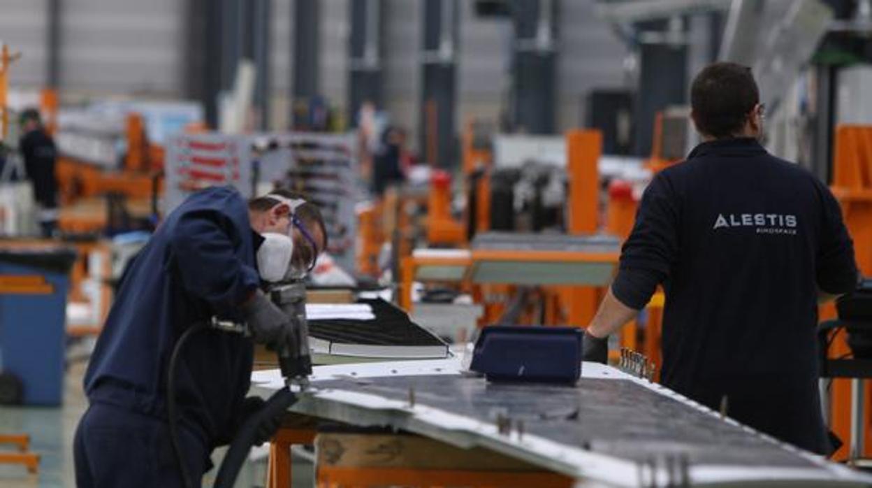 La Voz de Cádiz: Alestis marca el precedente