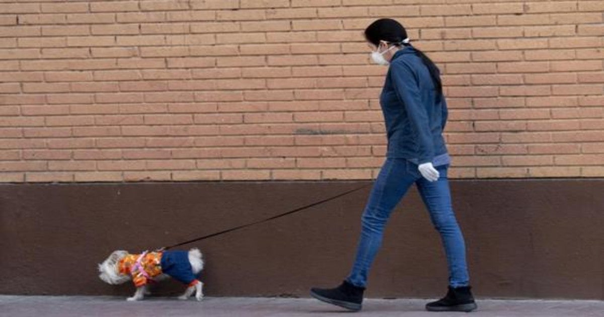 Nora Aparicio: Carta de una madre: «Mis hijos serán ciudadanos de segunda, sin derecho a estudiar en un entorno seguro»