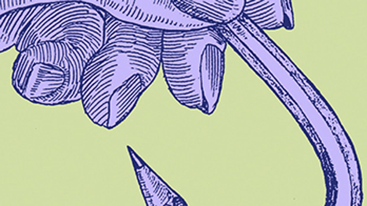 Xavier Pericay: Exposición de motivos