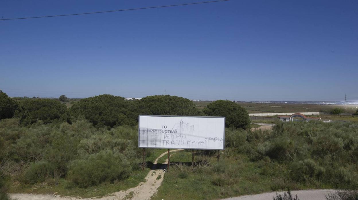 La Voz de Cádiz: Cargos y sueldazos