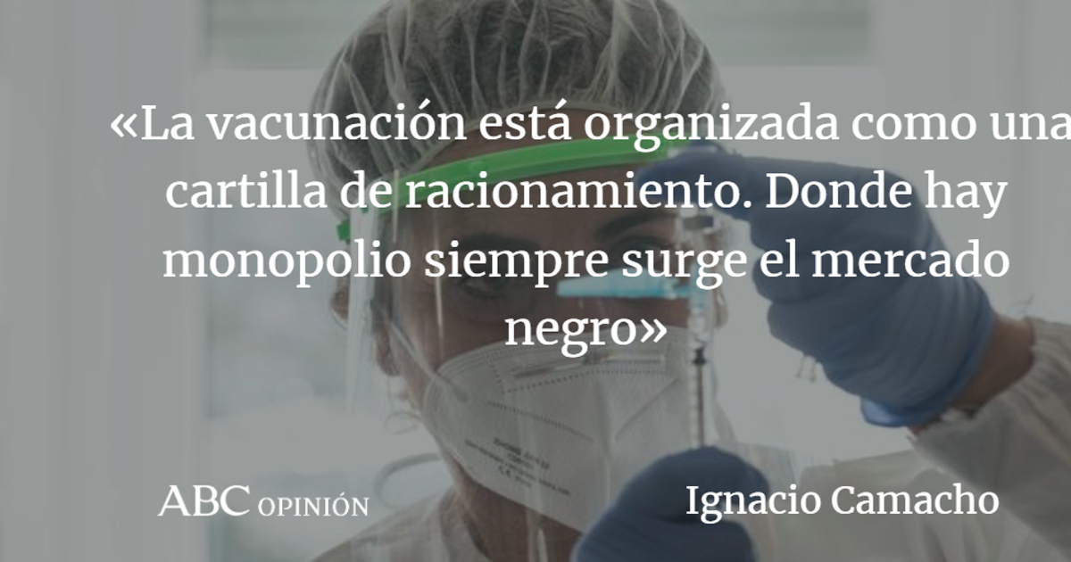 Ignacio Camacho: Estraperlo de vacunas