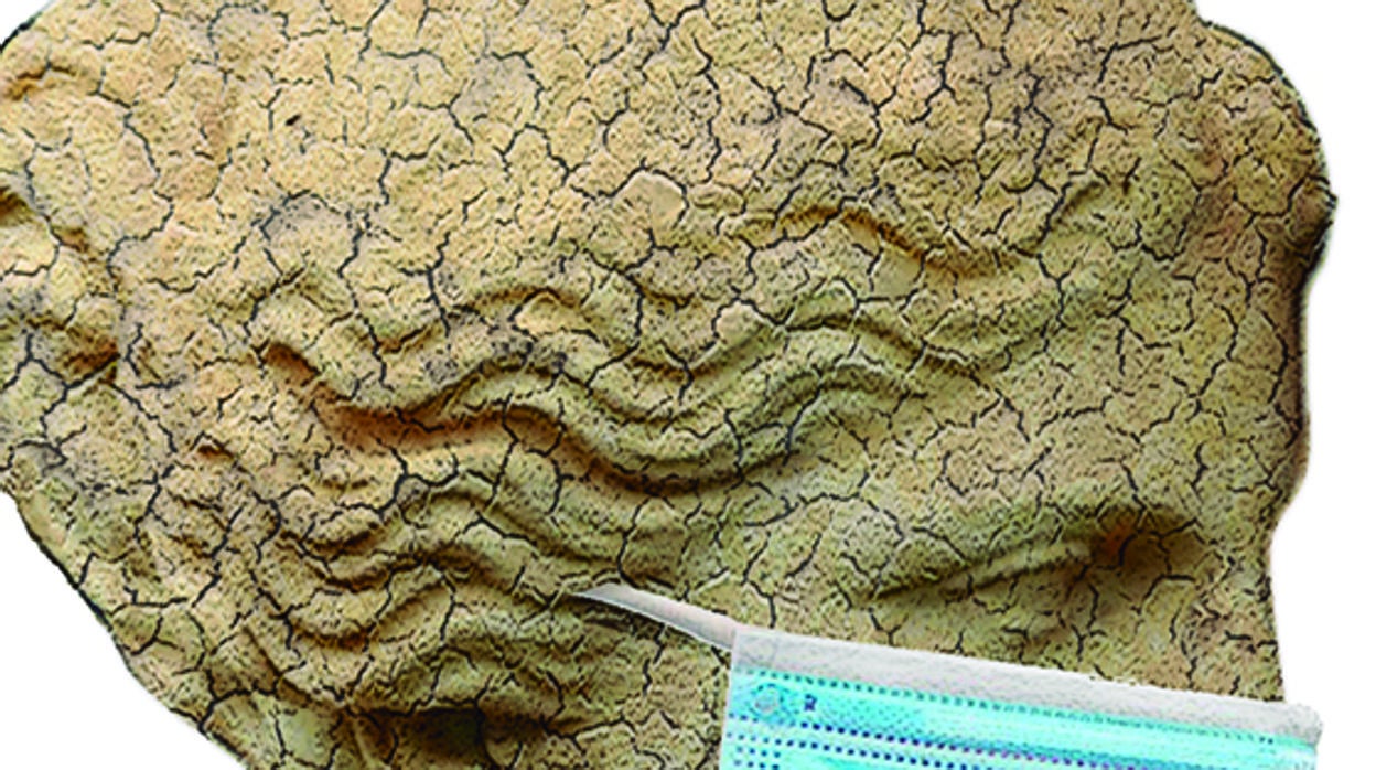 José María Carrascal: La decadencia de Occidente