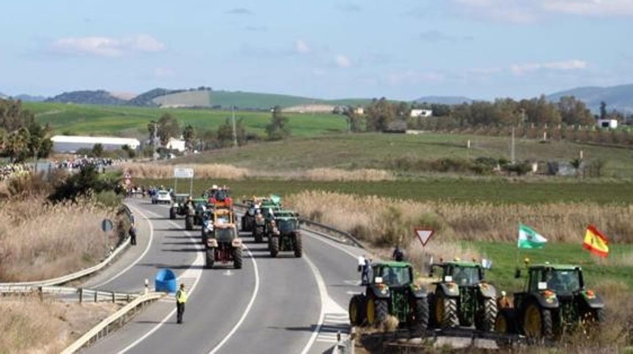 La Voz de Cádiz: El campo gaditano clama por vivir