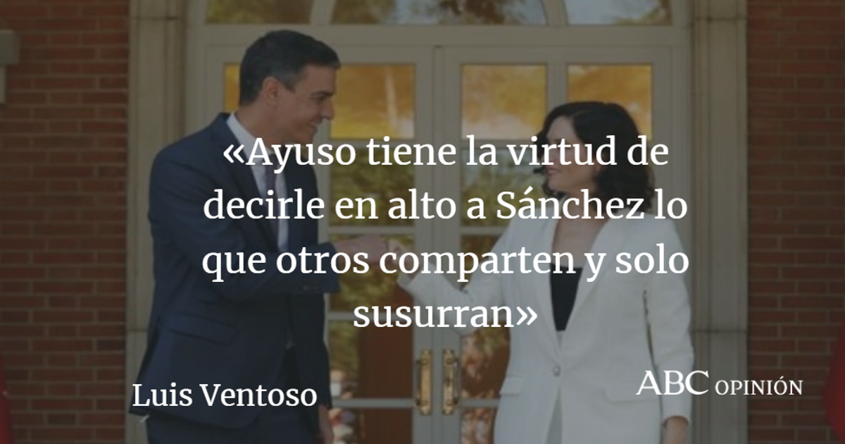 Luis Ventoso: Cuatro cosas de sentido común